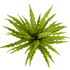 Olla <span class=keywords><strong>de</strong></span> hojas <span class=keywords><strong>de</strong></span> Osaka <span class=keywords><strong>de</strong></span> plástico <span class=keywords><strong>de</strong></span> alta calidad Oh Arts, bonsái <span class=keywords><strong>de</strong></span> Asplenium, mesa <span class=keywords><strong>Buxus</strong></span>, vegetación, Artificial Nido <span class=keywords><strong>de</strong></span> Pájaro <span class=keywords><strong>de</strong></span> seda, Helecho, hogar al aire libre - Product Image 3