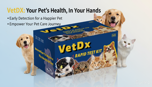 Professioneller Testlaborhersteller für veterinärmedizinische Diagnostikinstrumente, Feline FHV <span class=keywords><strong>Herpes</strong></span> FCV/FHV Kombinationskits für Katzen - Product Image 4