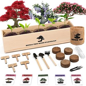 Kit <span class=keywords><strong>de</strong></span> Inicio para Jardín Bonsái Interior: Arce Rojo, Glicinia, Pino Negro, Árbol <span class=keywords><strong>de</strong></span> Judas, <span class=keywords><strong>Acacia</strong></span>, 22 Piezas, Herramientas <span class=keywords><strong>de</strong></span> Jardinería Completas, Macetas para - Product Image 1