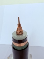 Xlpe Isoliertes gepanzertes PVC-ummanteltes Stromkabel 3-adriges 240/300/400 mm2 Elektrokabel U1000 R2V RVFV NYY YVV N2XY N2XBY