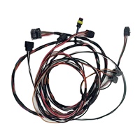 Tous types de faisceaux de câbles pour moto, faisceau de câbles électriques JAE 12P OEM, assemblage de câbles