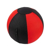 Balle interactive OEM grande taille pour l'agilité des chevaux de berger, durable et anti-éclatement, avec housse en nylon robuste et lavable