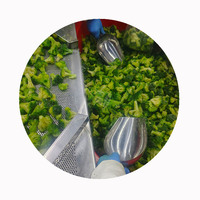 Brócoli Congelado XMSD 1 kg x 10 Paquetes por Caja para Distribución de Comestibles Importados y Programas de Venta Minorista de Formato Pequeño