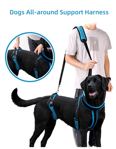 調節可能なポリエステルペット犬用ハーネス弾性ボタン付きデザインライト通気性リフトサポートハーネス - Product Image 4