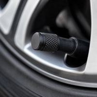 Capuchons de valve de pneu, couvre-valve universel pour pneus de voiture, accessoires de remplacement décoratifs extérieurs anti-poussière