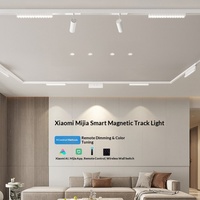 Rail lumineux magnétique encastré et en saillie en aluminium blanc intelligent pour éclairage d'ambiance de salon