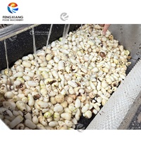 Fengxiang MSTP-80 Dasheen Taro Borstel Schil- en Wasmachine voor Fruit en Groenten, Aangedreven door een Pomp Motor, 300-500kg/uur, Milieuvriendelijk