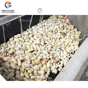 เครื่องปอกเปลือกและล้างแปรงทาโร่มันเทศ MSTP-80เครื่องปอกเผือก - Product Image 2