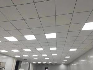 Placa decorada do teto do gesso Plafond Pvc Vinyl Plank para tetos