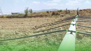 Tuyau plat agricole avec trous pré-perforés, <span class=keywords><strong>ceinture</strong></span> d'irrigation goutte à goutte écologique pour jardin et <span class=keywords><strong>serre</strong></span>, en PE - Product Image 6