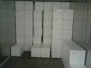 Cibo per animali naturale per la dafnia congelato - Product Image 5