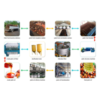 Nieuwe WETO volautomatische turnkey installatie voor de verwerking van rode palmvruchten, constructie van roestvrij staal, 1-100 ton/dag palmolie.