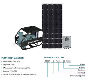 <span class=keywords><strong>Pompe</strong></span> à eau solaire GRANDFAR <span class=keywords><strong>de</strong></span> haute qualité <span class=keywords><strong>pour</strong></span> l'irrigation <span class=keywords><strong>de</strong></span> la ferme DC <span class=keywords><strong>Surface</strong></span> et <span class=keywords><strong>pompe</strong></span> solaire <span class=keywords><strong>de</strong></span> forage d'étang submergé <span class=keywords><strong>pour</strong></span> l'approvisionnement en eau - Product Image 2