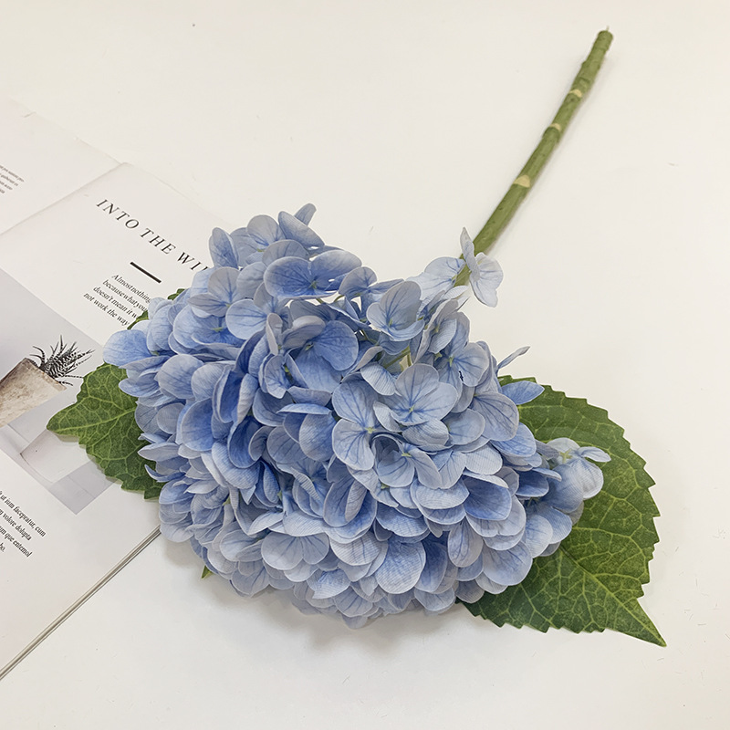 Bleu clair