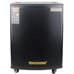 TEMEISHENG 15英寸专业放大器系统级扬声器BT连接500瓦可充电扬声器