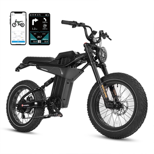 <span class=keywords><strong>Bici</strong></span> <span class=keywords><strong>Elettrica</strong></span> 750W Spedita dagli USA, Batteria al Litio Rimovibile, Ruote 20*4.0 Pollici, <span class=keywords><strong>Bici</strong></span> <span class=keywords><strong>Elettrica</strong></span> Fuoristrada di Alta Qualità - Product Image 6