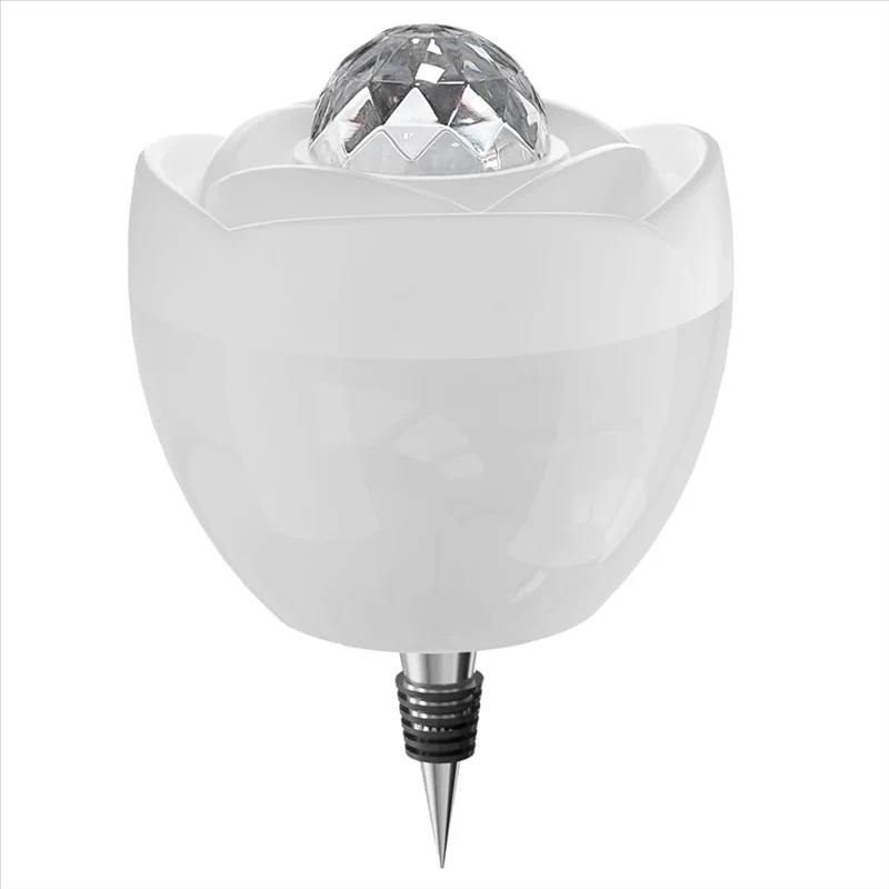 ไม่มีการฉายภาพ