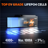 Batterie LiTime 12V 230Ah au lithium semi-solide pour VR avec Bluetooth, protection contre les basses températures, BMS 200A développé en interne, 4000 cycles, US EU AU