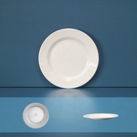 Assiette à dîner en mélamine haut de gamme pour restaurant commercial, logo personnalisé et motifs imprimés, assiette ronde jetable