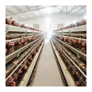 Precio barato jaulas de pájaros de animales de acero inoxidable 5000 jaula de pollo para la venta