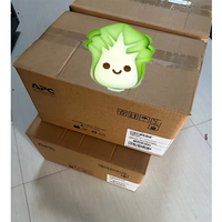 New Stock APC Smart SRT8KRMXLI UPS SRT 8kVA/8kW Tower 230V