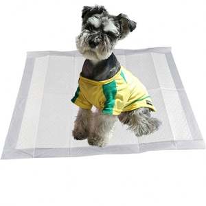 Almohadillas para Perros, 60x60 cm, Alfombrillas Higiénicas Desechables para Mascotas, Suministros de Entrenamiento para Perros Sostenibles - Product Image 1