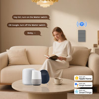 Zemismart Matter Over Wifi Smart Switch Matériau en alliage d'aluminium Compatible HomeKit Google Home SmartThings Interrupteur intelligent en métal