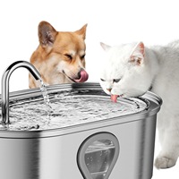 Fontaine à eau pour animaux de compagnie en acier inoxydable durable et écologique de 5 L, filtration automatique circulante, capteur intelligent, niveau visible pour chat et chien