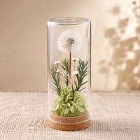 Dôme en verre artisanal avec pissenlit préservé et base en liège – Cadeau d'anniversaire, ornement de bureau