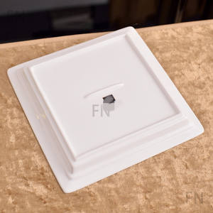 Vente chaude B-series Céramique Bone China Assiette De Fruits Assiette À Manger Assiette Carrée - Product Image 4