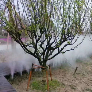 Оборудование для распыления под высоким давлением, бак для мастерской, система распыления пыли воды и тумана - Product Image 3