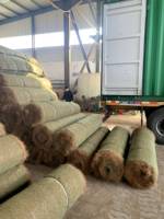 Noix de coco tapis fibre naturelle géotextile jute pente stabilisation géotextile