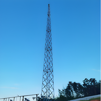 Torre di Protezione contro i Fulmini Monopolare Zincata a Caldo Durevole per Infrastrutture di Telecomunicazioni, Parapioggia a Tubo Singolo