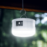 Ampoule d'Urgence Rechargeable Portable sans Fil LED DP Wholesale avec Crochet