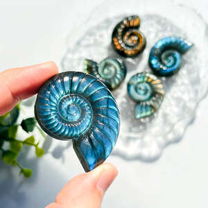 Offre Spéciale : Coquille de Labradorite Naturelle en Forme d'Escargot, Artisanat en Cristal, Énergie Guérisseuse, Effet Bleu Scintillant, Idéale pour Cadeau - Product Image 5