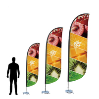 Drapeau de plage promotionnel personnalisé, design plume, durable, imprimé numériquement, polyester, imperméable, portable, respirant, 2,8 m