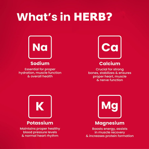 Vitaminas y Minerales en Polvo para Apoyo Energético, Marca Privada OEM/ODM, Suplemento Personalizado de Electrolitos - Product Image 6