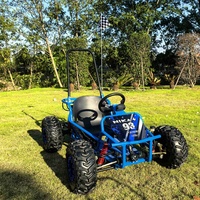EGS 2025 1000W 48V 20Ah Kart Électrique Buggy pour Enfants et Adultes Frein à Disque Transmission par Arbre Suspension à Double Triangles Pneus Tout-Terrain