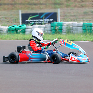 Xe Go Kart đua tốc độ cao, nhiều màu sắc, giá rẻ, chất lượng cao, động cơ ZhuoYuan 225CC, truyền động bằng xích, bình dầu 6.5L - Product Image 6