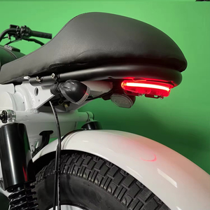 Vélo Électrique Classique Rétro Himoto Walfisk pour Trajets Urbains Personnalisable avec Batterie au Lithium 60V 45Ah, Pneus Larges, Système NFC sans Clé, Modèle SK-2 Himot - Product Image 4