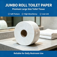 Rouleaux de papier toilette en pâte vierge, haute résistance à l'humidité, jetables, fourniture directe usine