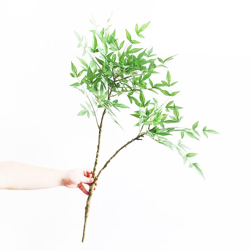 Small southern sky bamboo branches