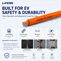 Cable de Alta Tensión para Vehículos Eléctricos de 600/1000V, Sin Blindaje, Impermeable IP67, Cable de Alimentación con Aislamiento XLPE EVR