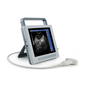 Máquina <span class=keywords><strong>de</strong></span> ultrasonido portátil con escáner <span class=keywords><strong>de</strong></span> ultrasonido 3D veterinario en blanco y negro con modo B Digital completo <span class=keywords><strong>de</strong></span> animales, dispositivo <span class=keywords><strong>de</strong></span> ultrasonido en blanco y negro - Product Image 1