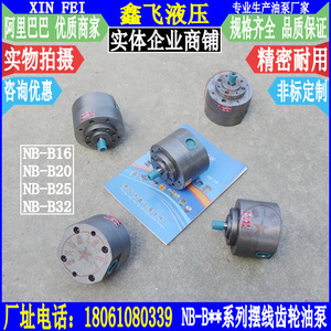 Cycloid Gear Pump NB-B16 B20 B25 B32 Series Cast <b>Iron</b> for Machine Tool Reducer Lubrication - Product Image 3