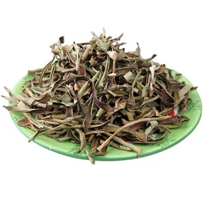 Venta al por Mayor de Hojas de Aloe Vera Chinas de Alta Calidad, Variedad Completa de Materiales Lu Jui Ye - Product Image 1