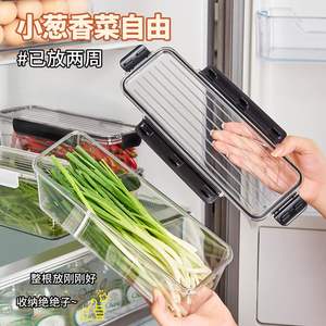Boîte de conservation rectangulaire pour coriandre et oignon vert avec couvercle à clipser, organisateur de réfrigérateur pour légumes frais - Product Image 2