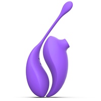 Produits sexuels pour adultes : Ensemble de vibromasseurs à succion télécommandés, incluant un œuf vibrant et un vibromasseur à succion 'Honey Bean', pour la masturbation féminine