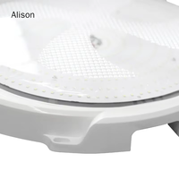 Lumière de plafond alimentée par panneau solaire 100W 200W 400W LED pour intérieur, extérieur, chambre, cour, garage, atelier commercial Alison