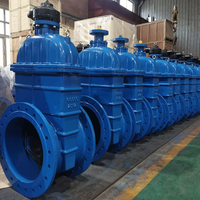 Vanne à opercule à bride conforme à la norme BS5163, vanne de régulation à opercule en fonte ductile GGG50 à siège souple pour eau municipale